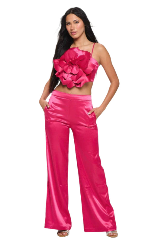 Crop Top & Pant Set